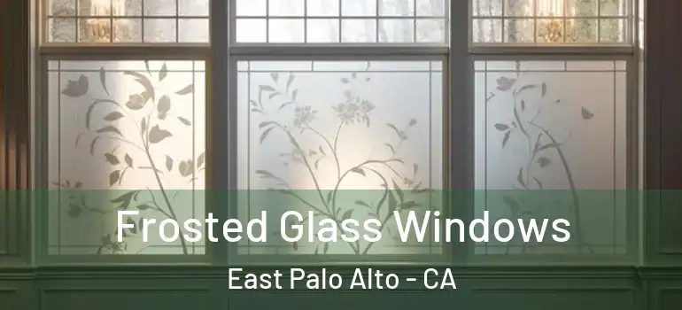  Frosted Glass Windows East Palo Alto - CA