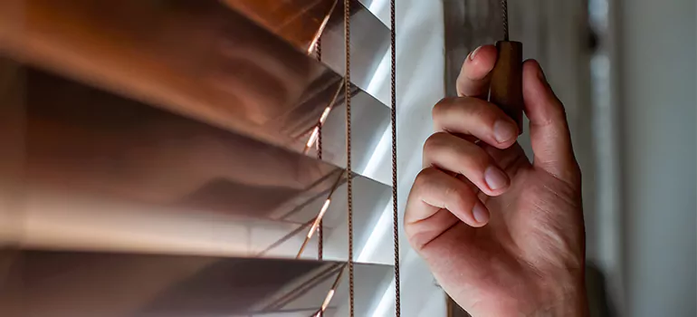 Double Roller Blinds in East Palo Alto, CA