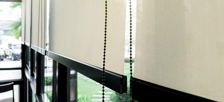Blackout Window Shades in East Palo Alto, CA