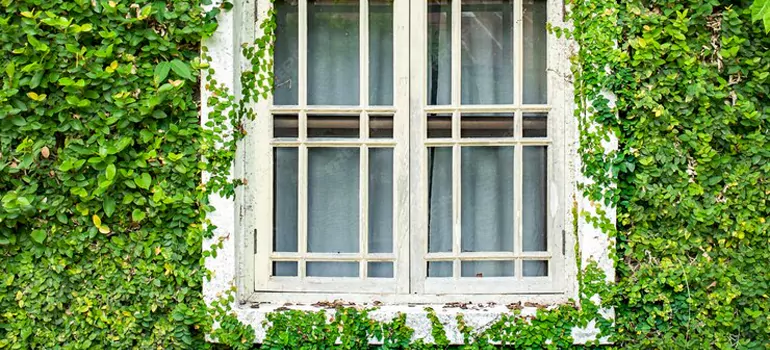 Garden Window Repair Near Me in East Palo Alto, CA