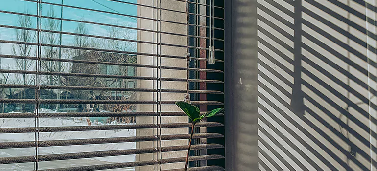 Commercial Window Blinds in East Palo Alto, CA