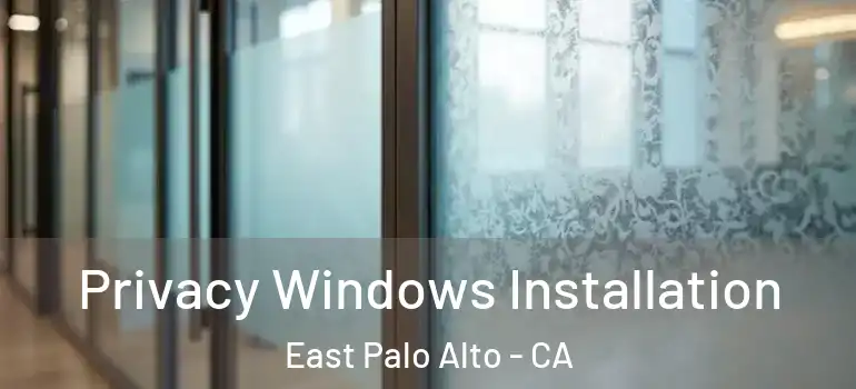  Privacy Windows Installation East Palo Alto - CA